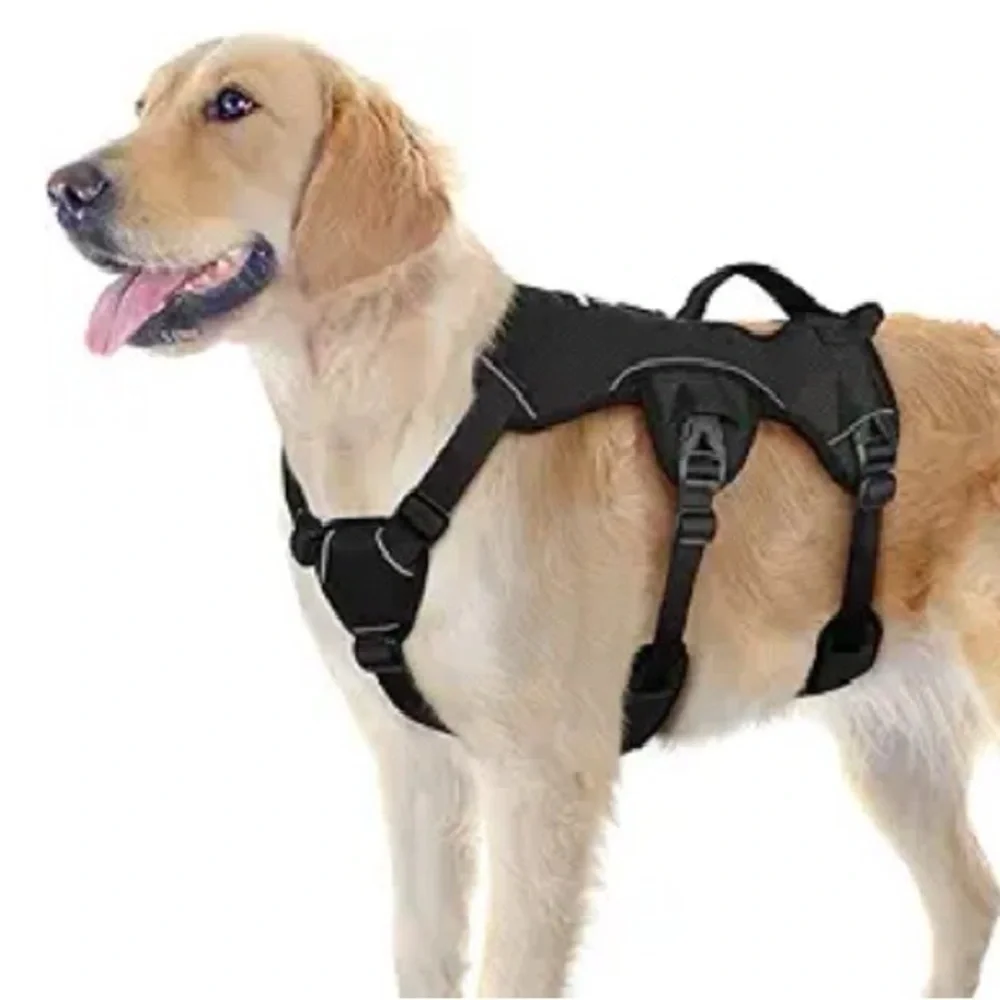 Black Dog Harness